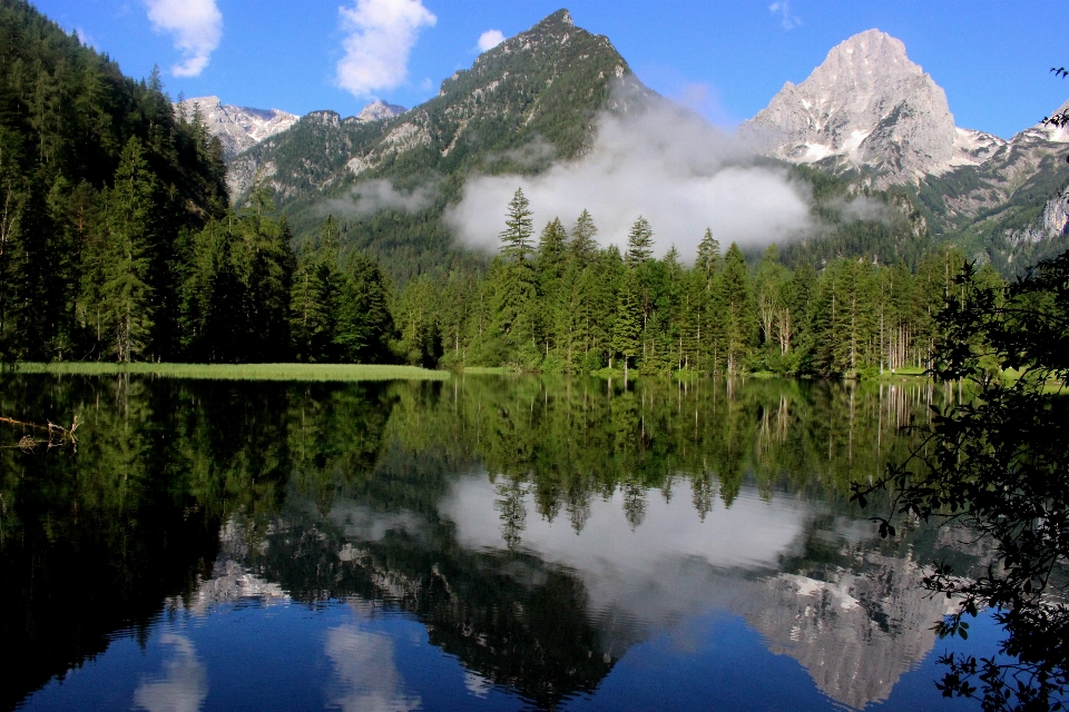 風景 木 水 自然