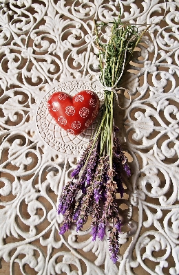 Bunch white flower purple Photo