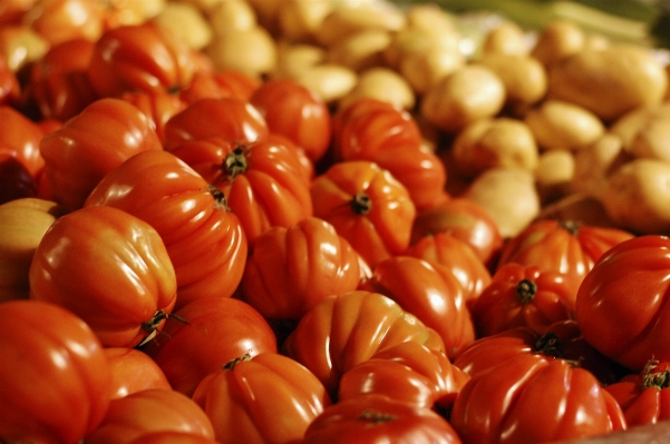 Foto Planta fruta comercio alimento