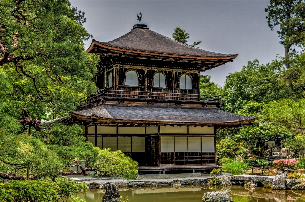 建築 建物 旅行 池 写真