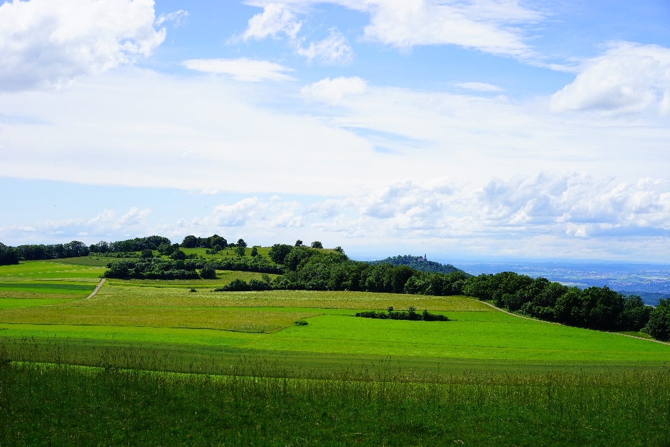 Landscape nature grass horizon