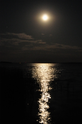 Landscape sea coast water Photo