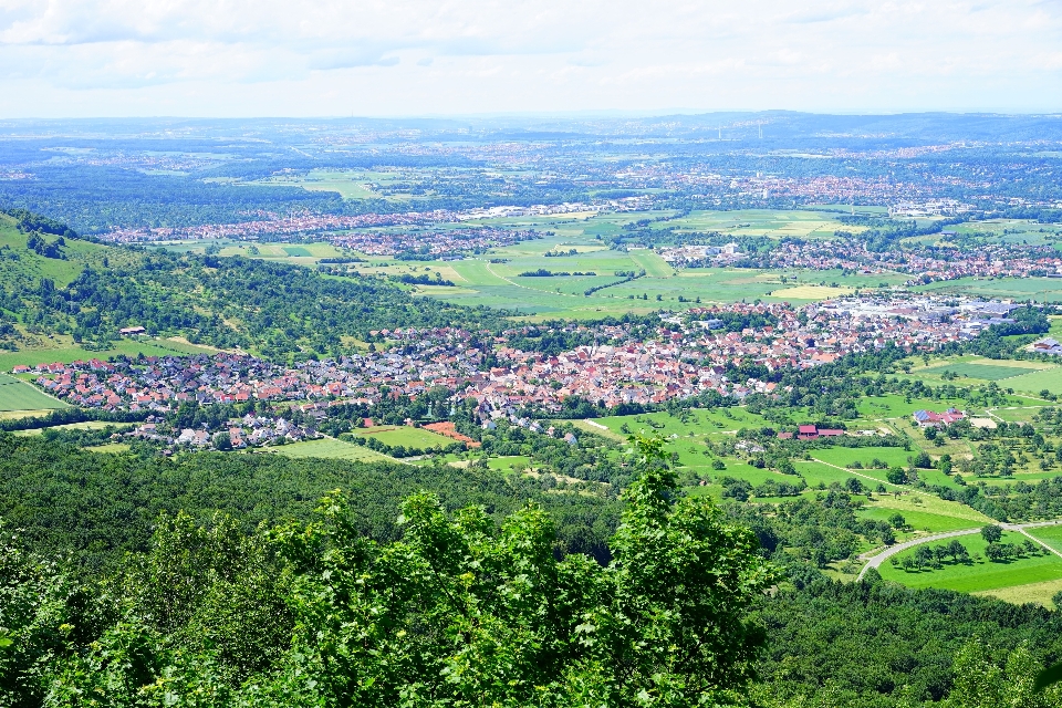 Landschaft baum berg feld