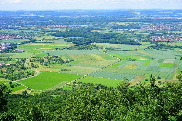 Landscape grass structure field Photo