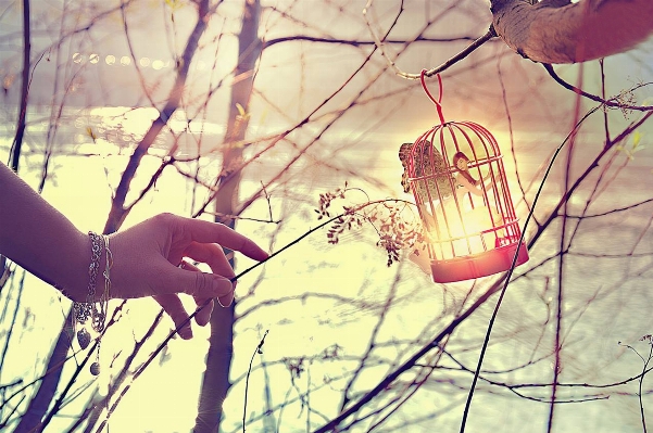 Hand landscape sea tree Photo