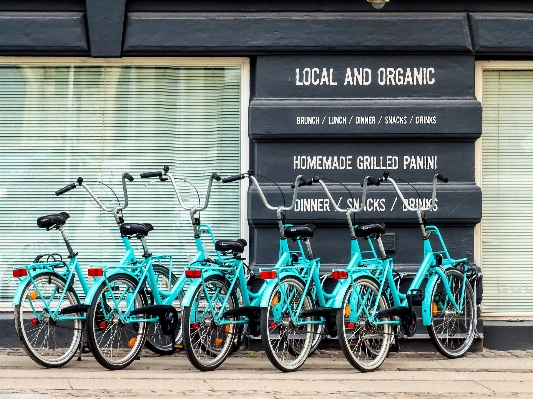 Street wheel restaurant bicycle Photo