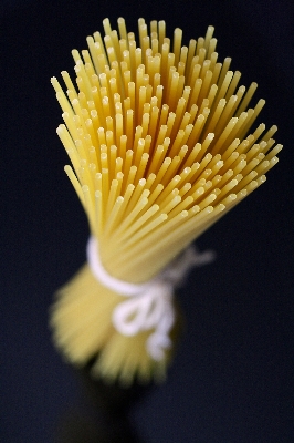 Plant wheat spiral flower Photo