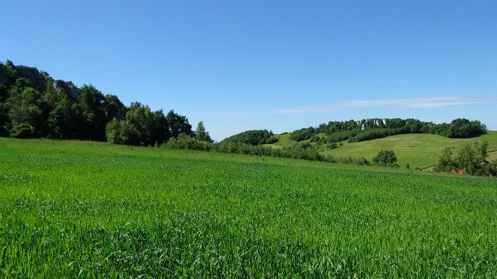 Landscape nature grass sky Photo