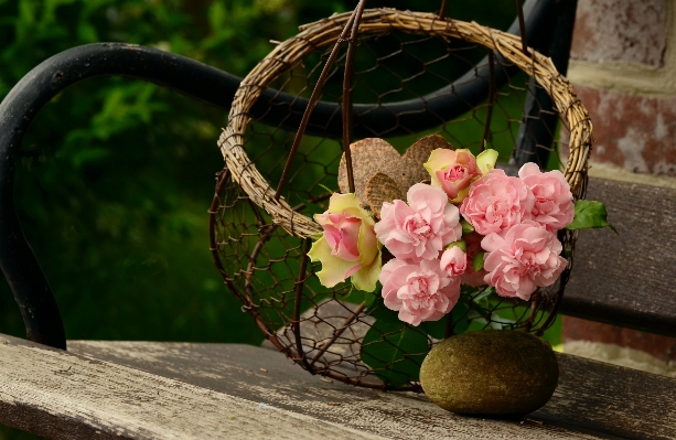 Plant flower love heart Photo