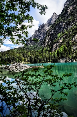 Landscape tree water nature Photo