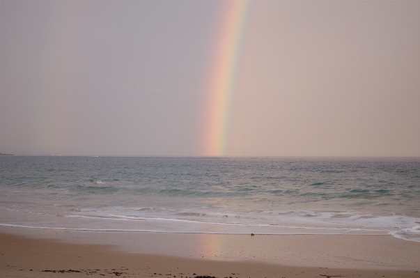 Beach sea coast nature Photo