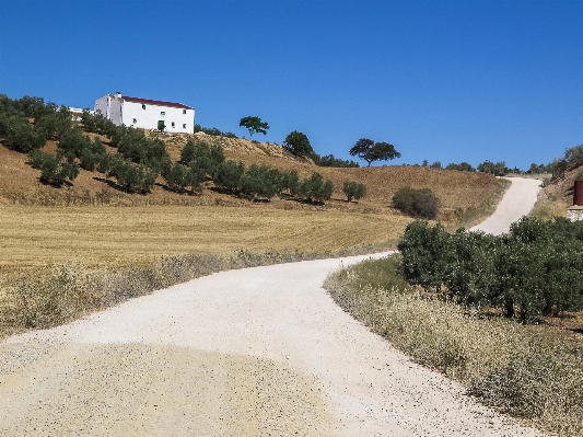 Landscape nature path mountain Photo