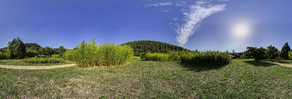 Landscape tree grass structure