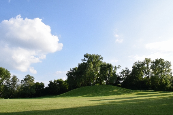 Landscape nature grass structure Photo