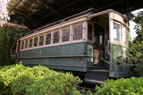 Track train tram transport Photo