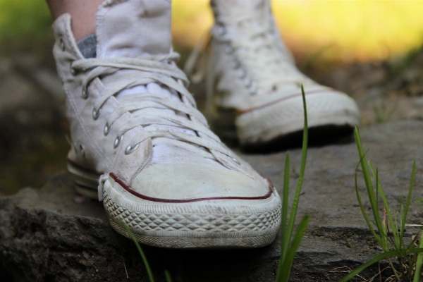 Nature grass shoe summer Photo