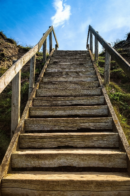 Boardwalk wood bridge walkway