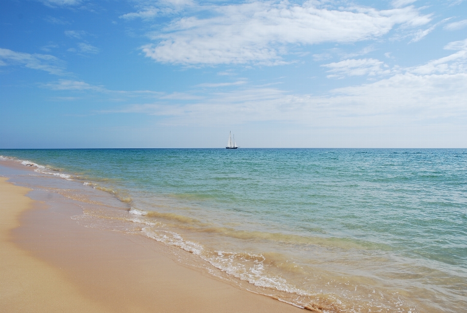 Beach sea coast water