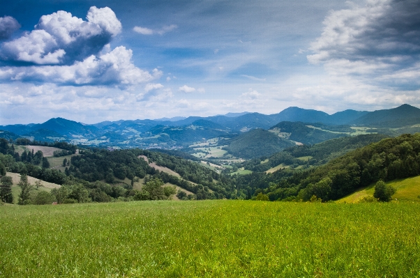 Landscape nature grass wilderness Photo