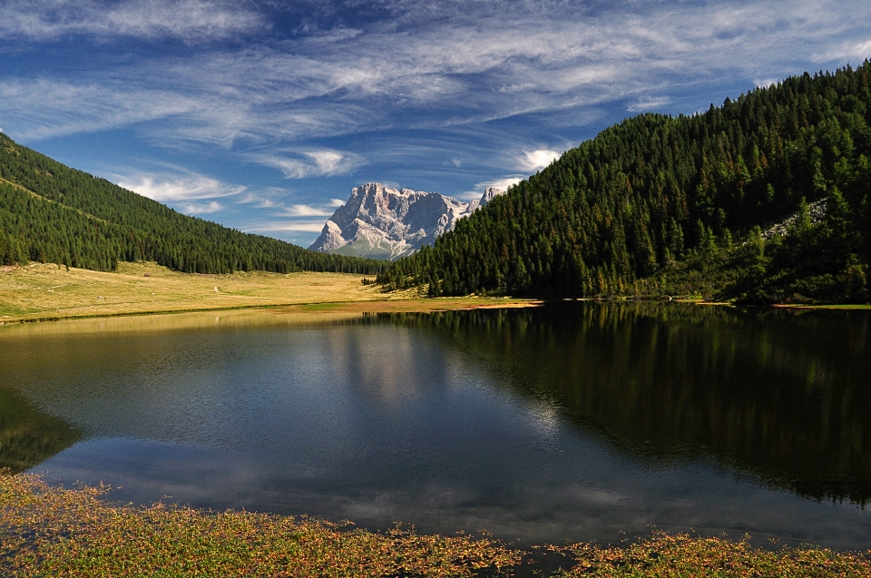 風景 木 水 自然