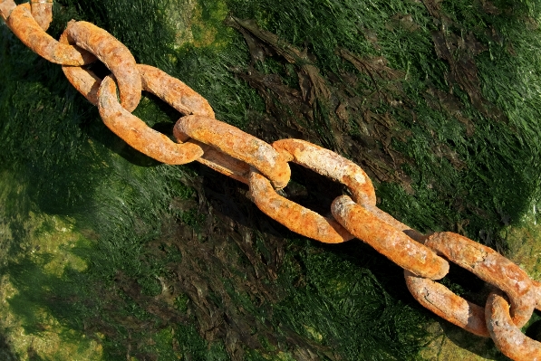 Branch chain old steel Photo