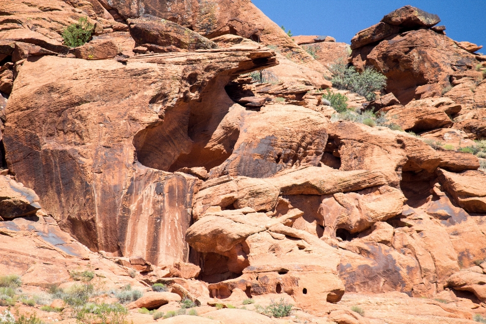 景观 水 自然 rock