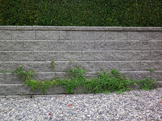 Grass architecture lawn sidewalk Photo