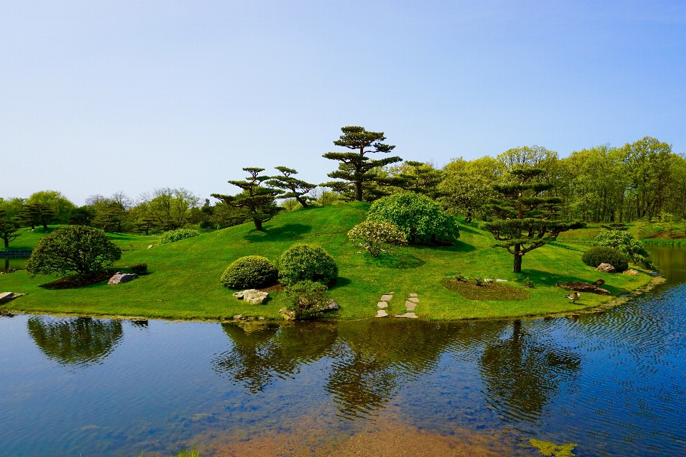 Paisaje árbol agua naturaleza