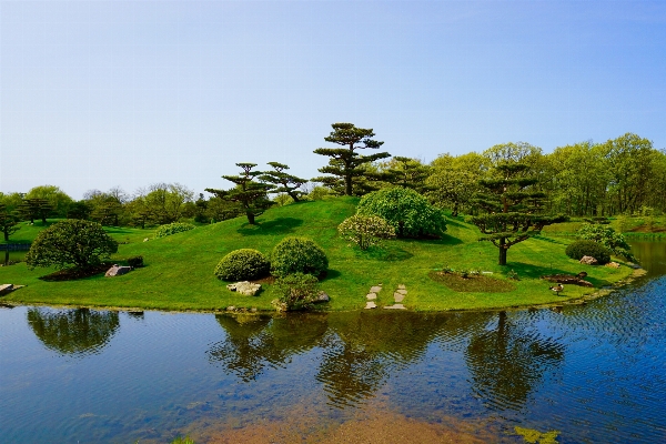 風景 木 水 自然 写真