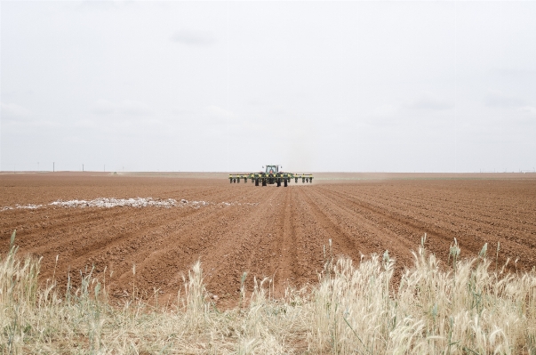 Grass horizon plant tractor Photo