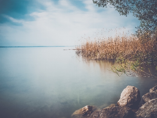 風景 海 木 水 写真