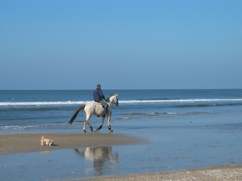 Beach sea coast water