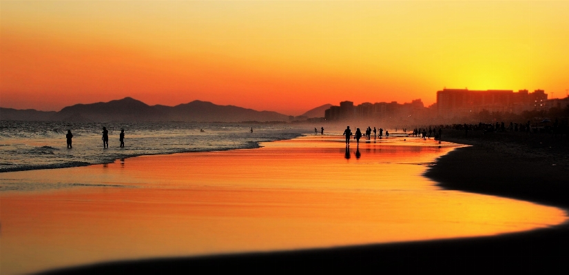 Beach sea coast nature Photo