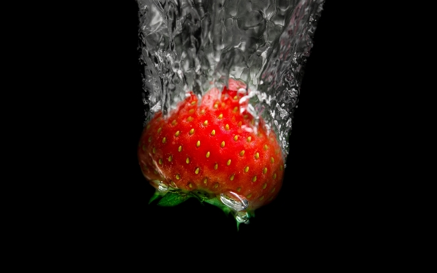 Water drop liquid plant Photo