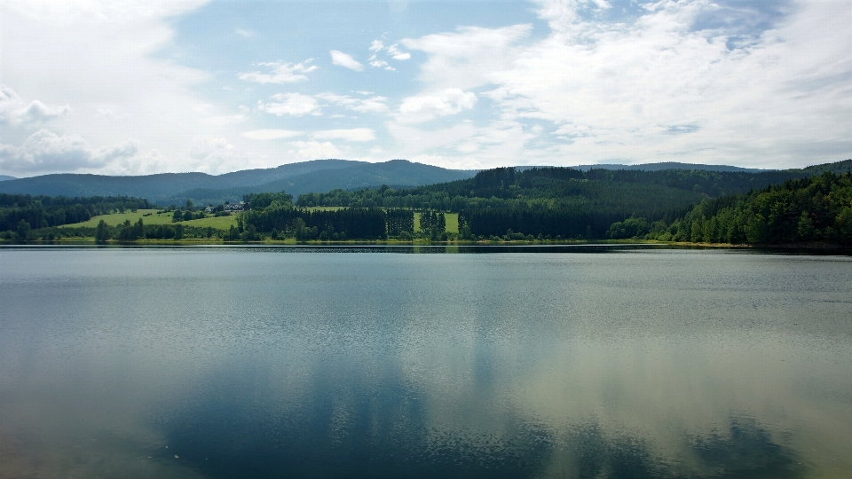 Landschaft baum wasser natur