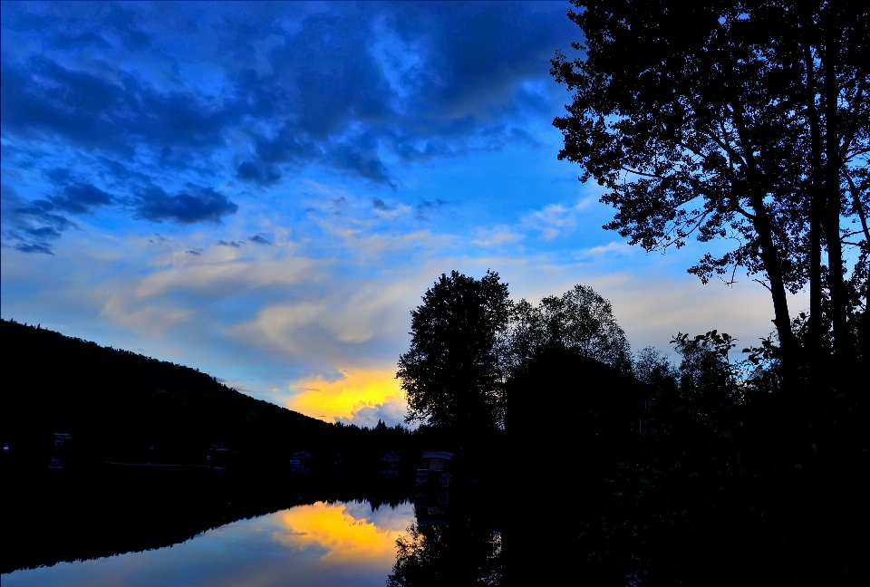 Landschaft baum natur berg