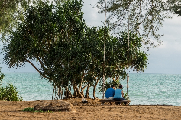 Foto Spiaggia paesaggio mare albero