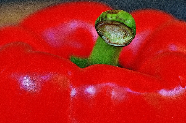 Natur anlage frucht blume Foto