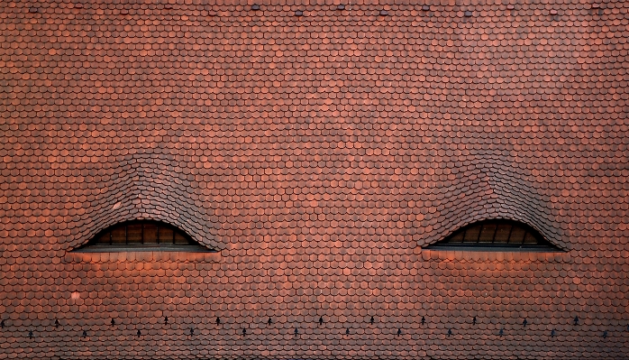 Architecture wood texture window Photo