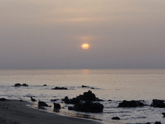 Beach landscape sea coast Photo