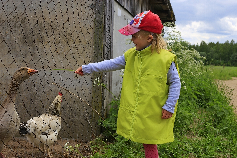 Nature bird girl farm