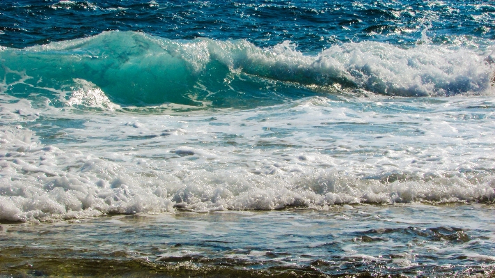 Beach sea coast water Photo