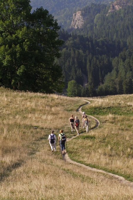 Paesaggio natura selvaggia
 a piedi montagna