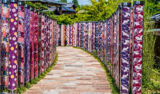 Nature path flower wall Photo