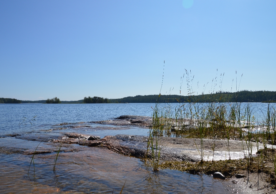 Morze wybrzeże woda natura