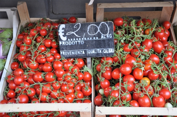 Foto Planta fruta alimento rojo