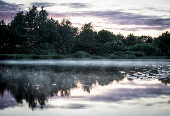 Landscape tree water nature Photo