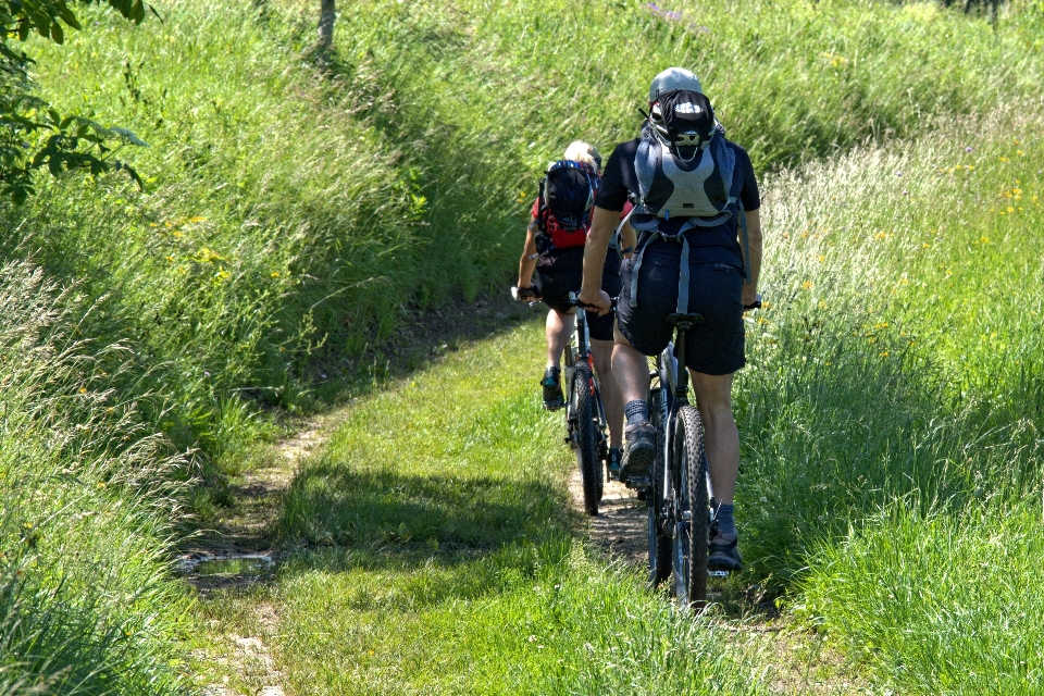 Nature trail meadow bicycle