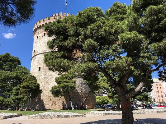 Foto Paisaje árbol monumento torre