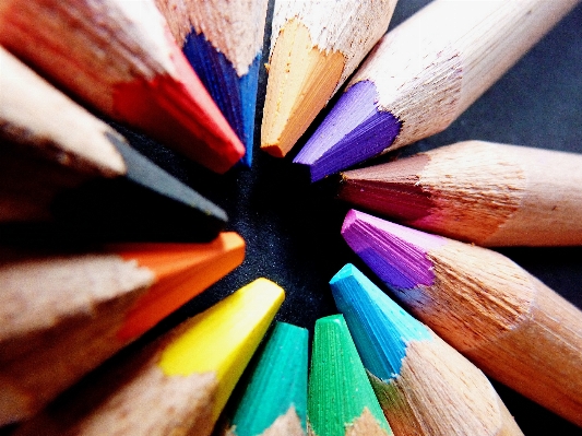 Pencil wood leaf flower Photo